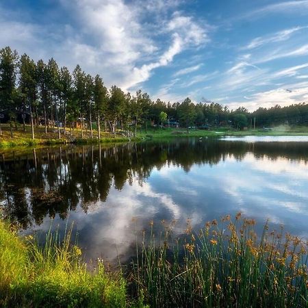 Sun Filled Cabin Pond-Views Bhbungalows #8 Custer Exterior photo